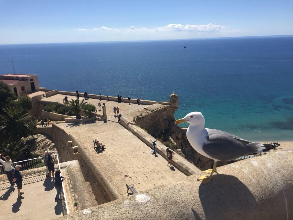 Apartamento Centrico Castillo S. Barbara لقنت المظهر الخارجي الصورة